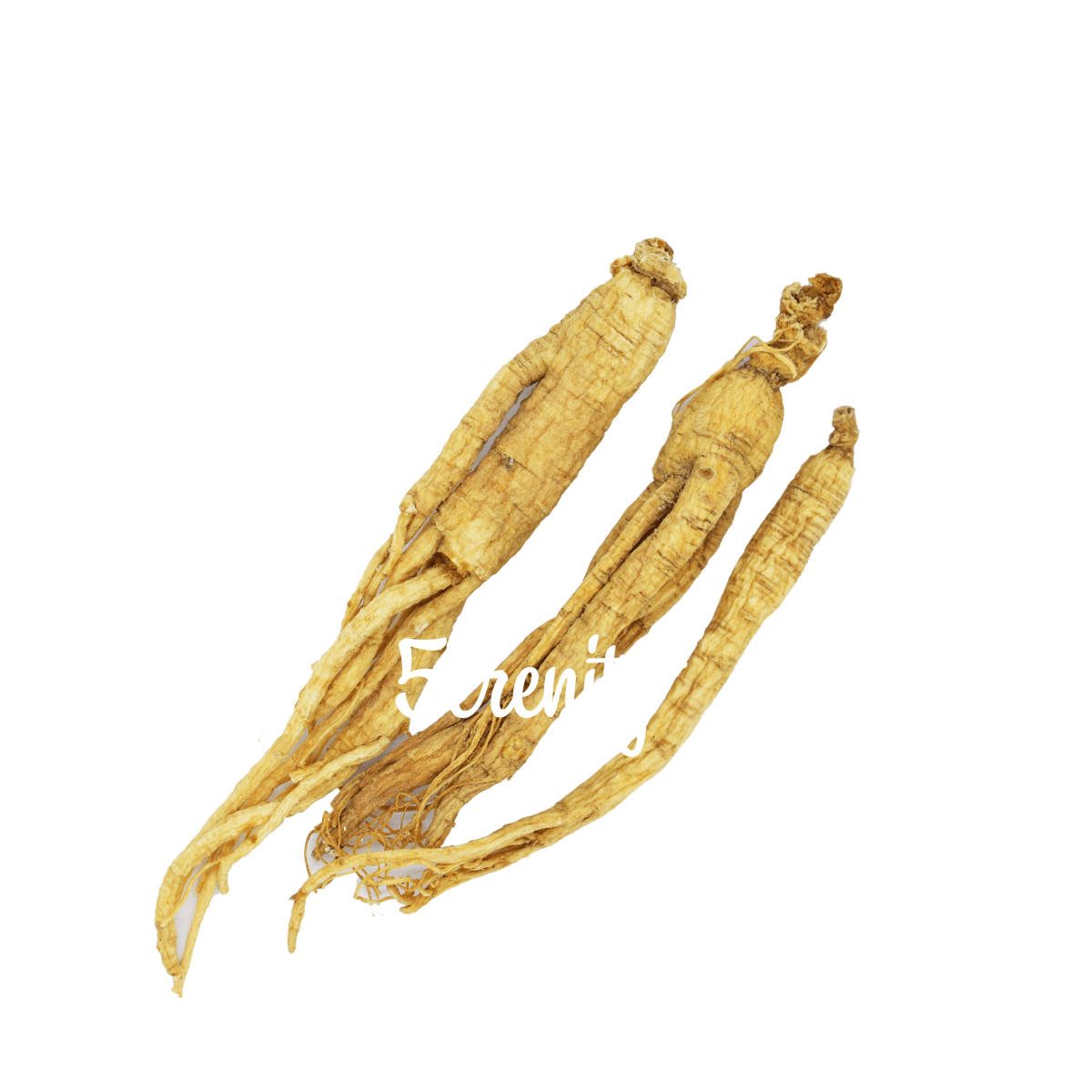 Ginseng-on-white-background- What are the skincare benefits of Ginseng or Ginseng Tea?